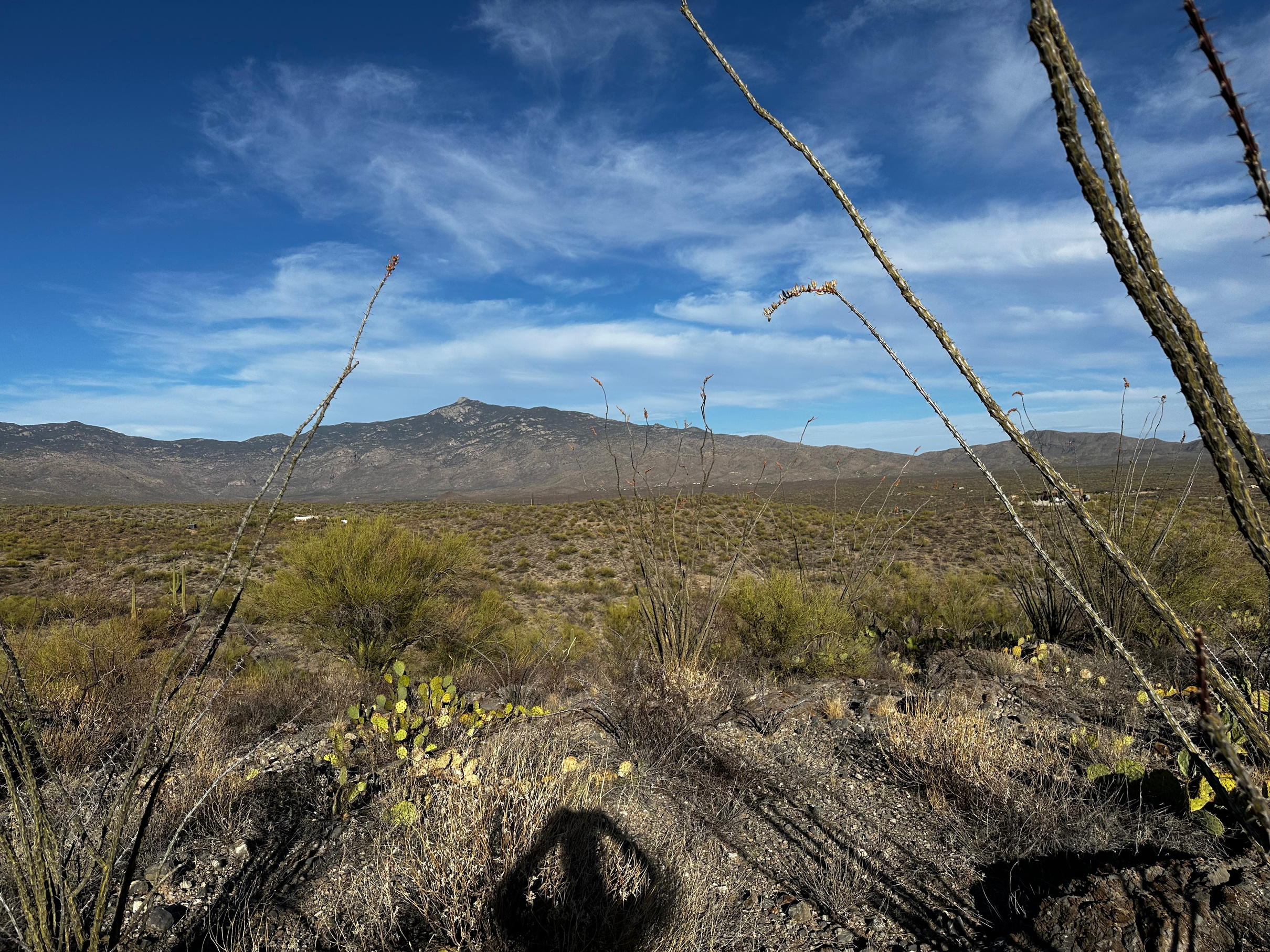 Facing East — Rincon Peak