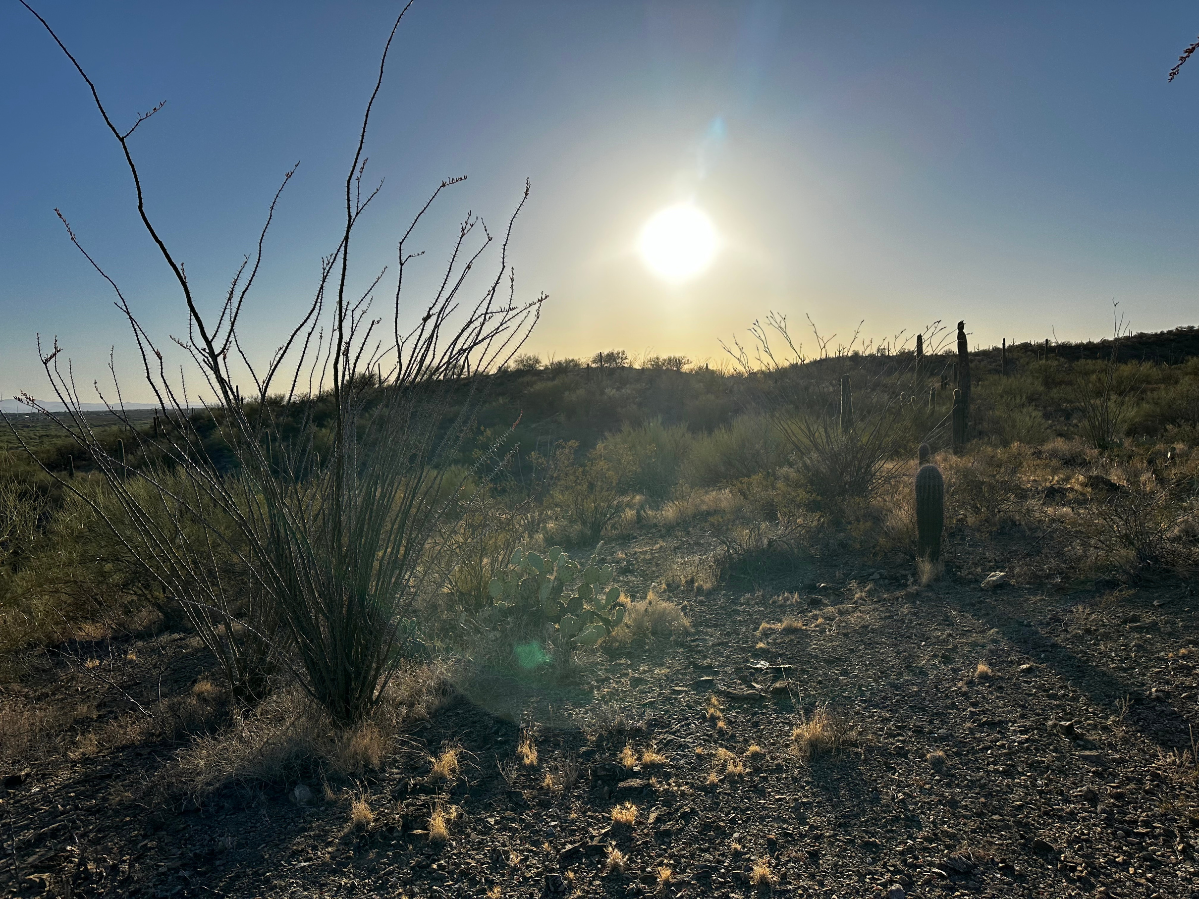 Facing West — Sunset over the valley